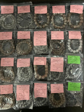 画像をギャラリービューアに読み込む, 260223-1439
