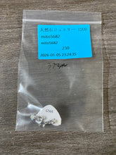 画像をギャラリービューアに読み込む, 20260121-1200mito5682
