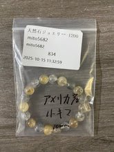 画像をギャラリービューアに読み込む, 20251017-1200mito5682
