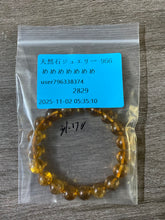 画像をギャラリービューアに読み込む, 20251102-956めめめめめめめ
