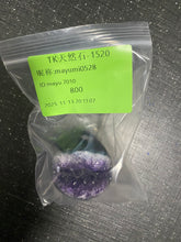 画像をギャラリービューアに読み込む, 251114-1520mayumi0528
