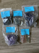 画像をギャラリービューアに読み込む, 20250517-76茶
