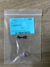 画像をギャラリービューアに読み込む, 20250619-694Jo
