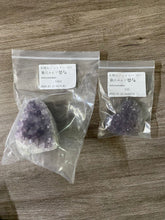 画像をギャラリービューアに読み込む, 20250728-973猫宮みんヅ
