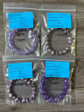 画像をギャラリービューアに読み込む, 20250824-956めめめめめめめ
