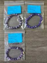 画像をギャラリービューアに読み込む, 20250831-956めめめめめめめ
