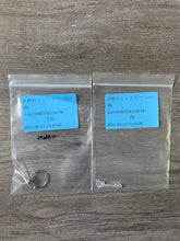 画像をギャラリービューアに読み込む, 20250926-1061咲
